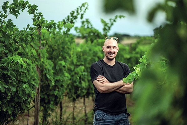 u vinogradu