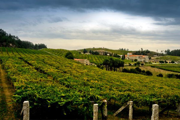 portal o vinu