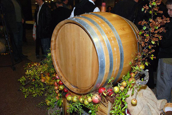 portal o vinu