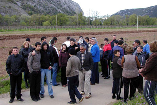 portal o vinu