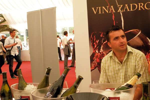 portal o vinu