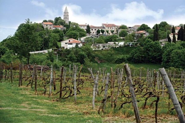 panorama