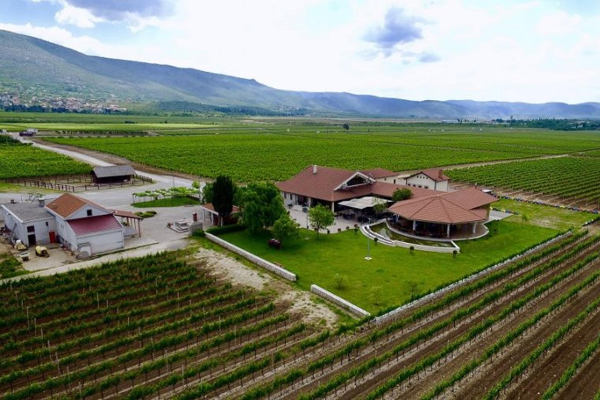 vinarija