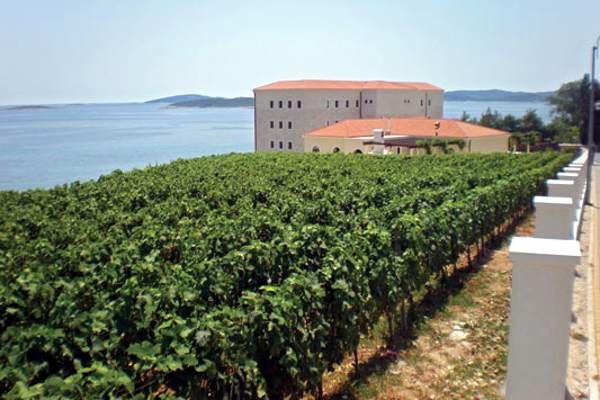 portal o vinu