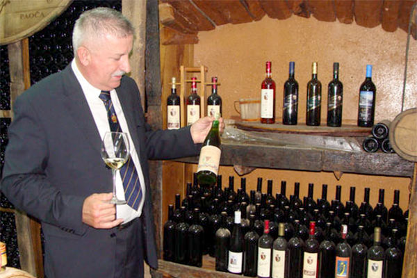 portal o vinu