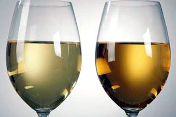 portal o vinu