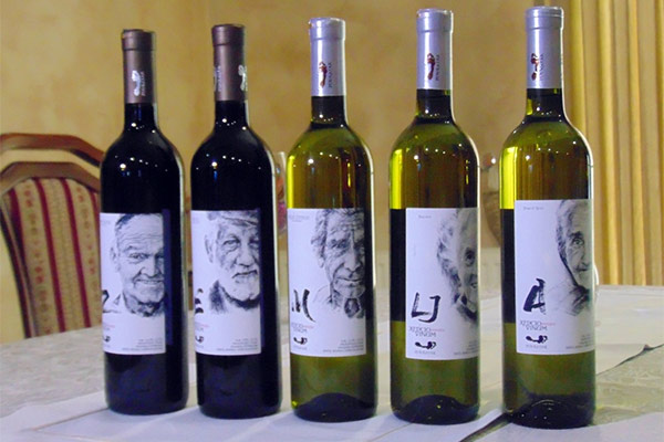 portal o vinu