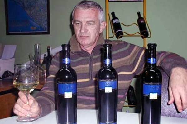 portal o vinu