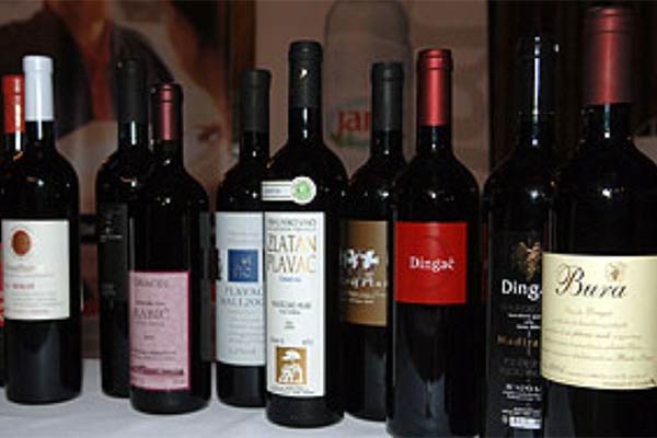 portal o vinu