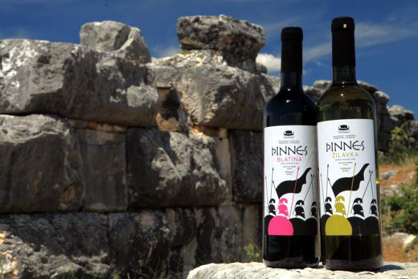 portal o vinu