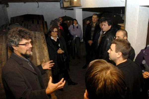 portal o vinu