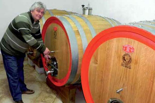 portal o vinu