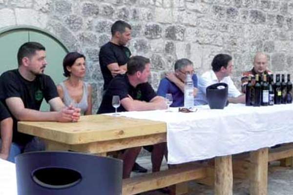 portal o vinu