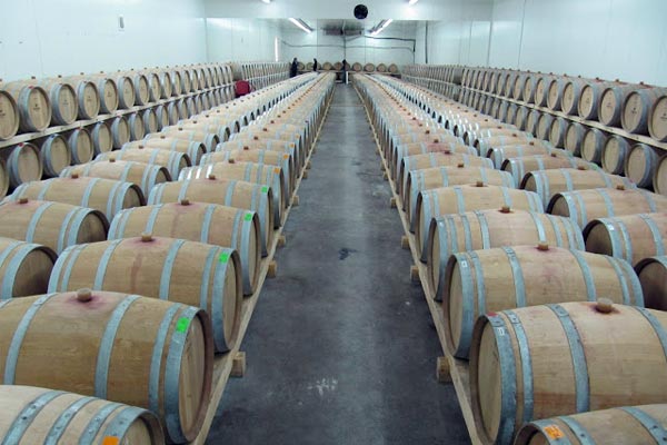 Laszlo Boni – Imat ću shiraz, makar i u stakleniku! portal o vinu