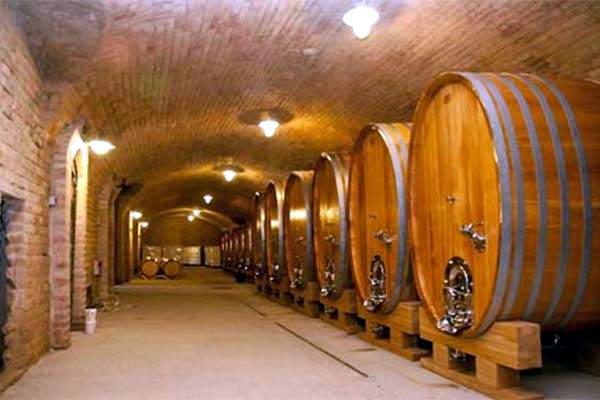 Vinsko srce Fruške gore portal o vinu