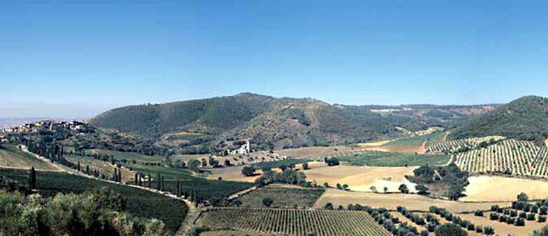 portal o vinu