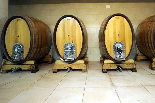 portal o vinu