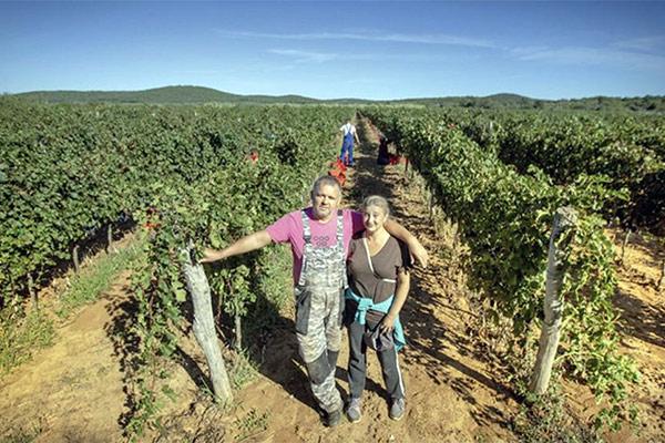 u vinogradu
