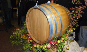 portal o vinu
