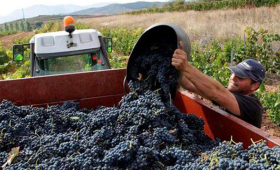 portal o vinu