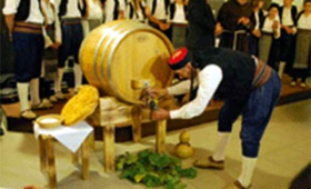 portal o vinu