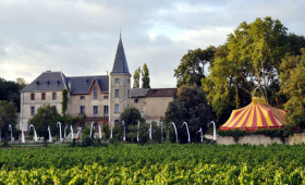 dvorac - vinograd