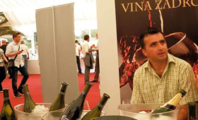 portal o vinu