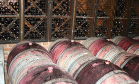 portal o vinu