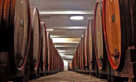 portal o vinu