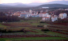 portal o vinu