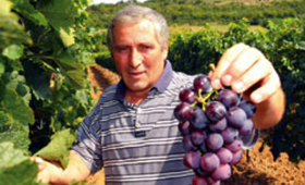 portal o vinu