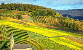 panorama