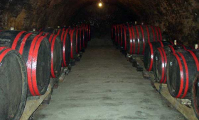 portal o vinu