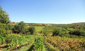 portal o vinu
