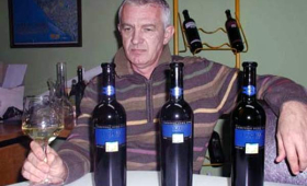 portal o vinu