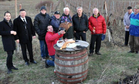 portal o vinu