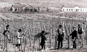 portal o vinu