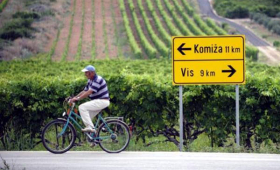 portal o vinu