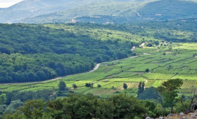 portal o vinu
