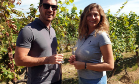 u vinogradu