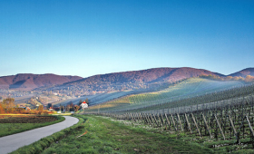 panorama