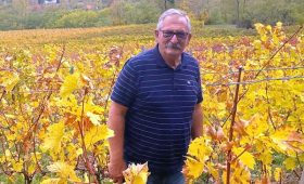u vinogradu