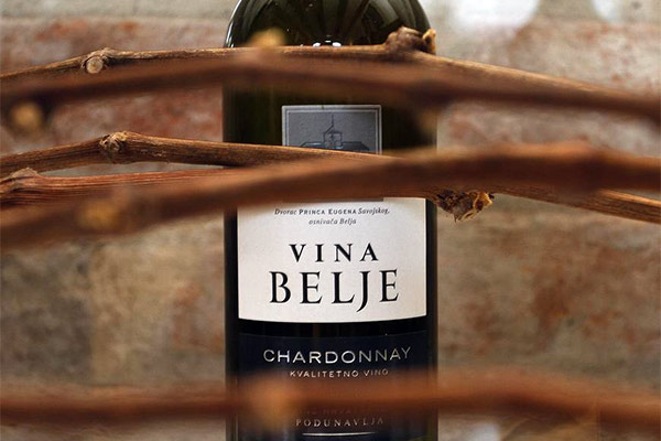 portal o vinu