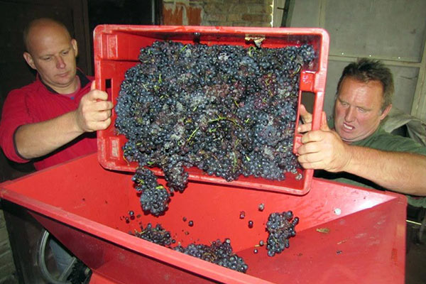 portal o vinu