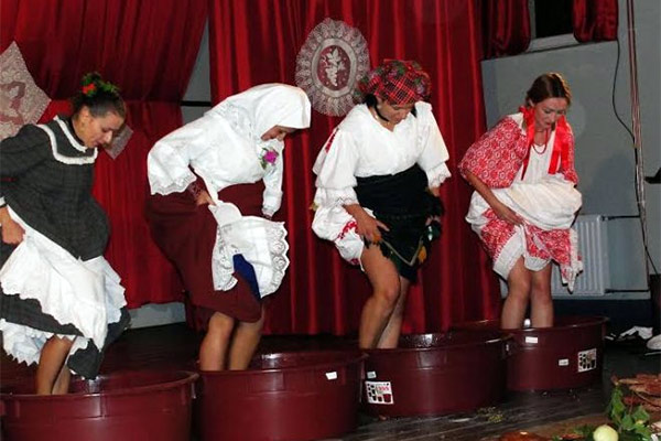 portal o vinu