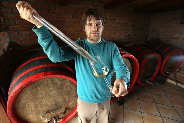 portal o vinu