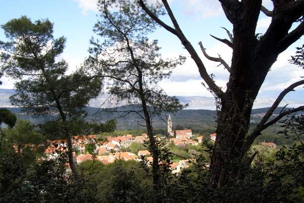 portal o vinu