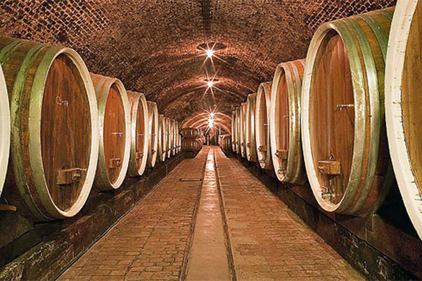 portal o vinu