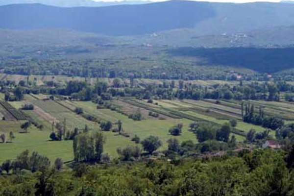 portal o vinu
