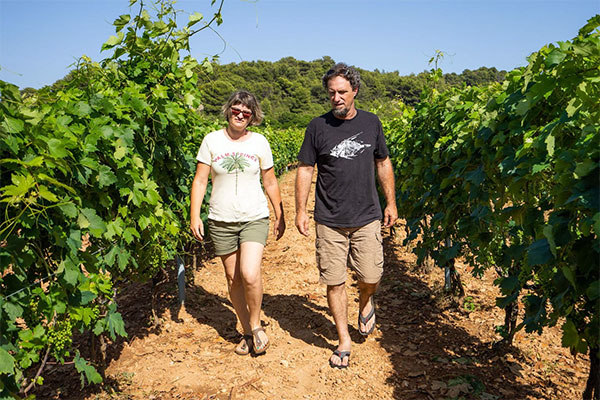 u vinogradu